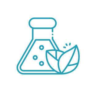 indian hair care products