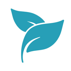 hair care products best